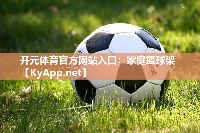 开元体育官方网站入口：家庭篮球架