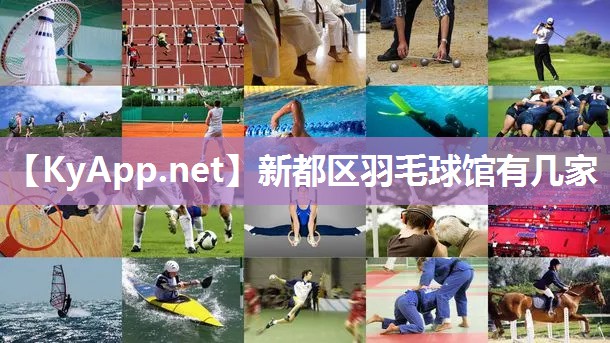 新都区羽毛球馆有几家