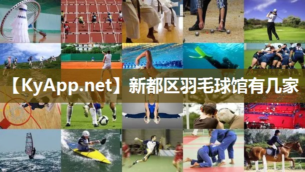 新都区羽毛球馆有几家